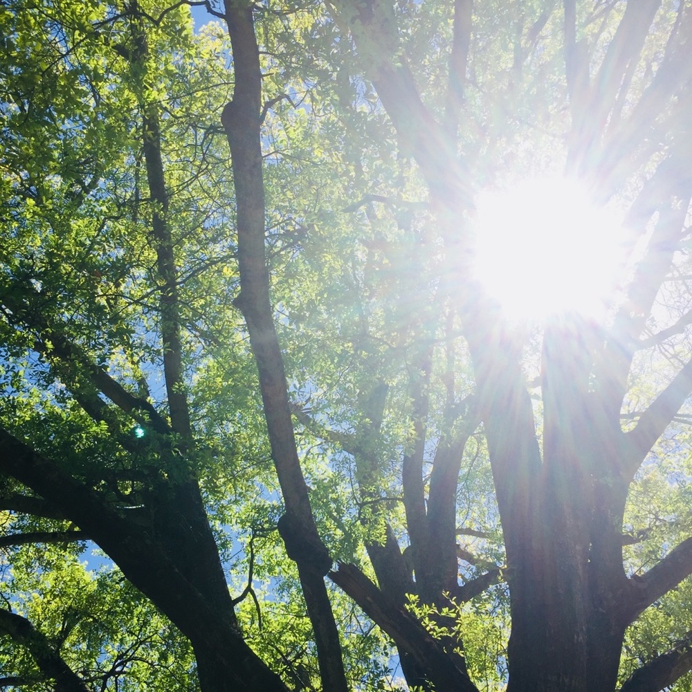 Meet your Posher, Edith